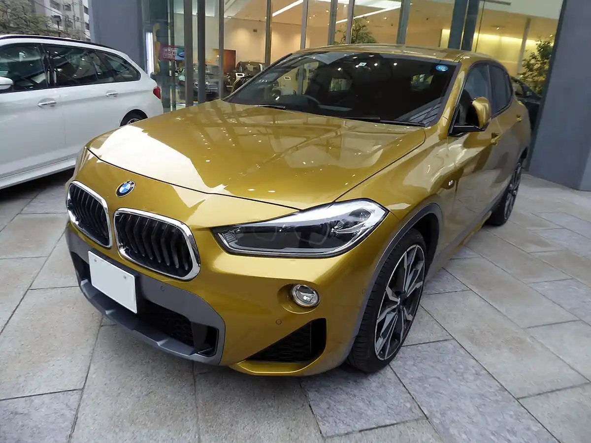 BMW X2 xDrive20i M Sport exterior reference photograph
